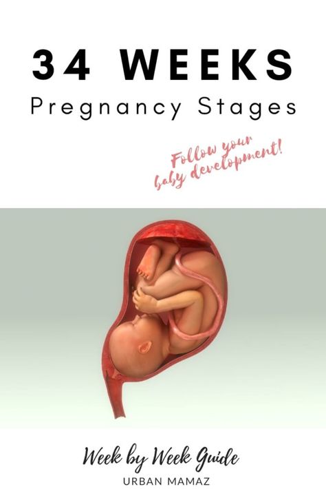 Pregnancy guide - 34 weeks. Are you pregnant? Wondering how is your baby developing? Discover your baby and pregnancy development - Week by week pregnancy guide- pregnancy trimesters, all the pregnancy stages- click here to read about 34 weeks pregnancy》 2nd Trimester Pregnancy, Pregnancy Trimesters, Pregnancy Development, Body Changes During Pregnancy, Week By Week Pregnancy, 19 Weeks Pregnant, 34 Weeks Pregnant, Baby Development Activities, Pregnancy Memes