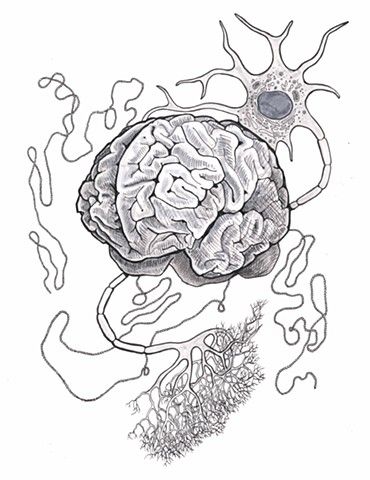 Synapse Neurons Art, Neuro Tattoo, Synapse Art, Neurons Art, Neuron Drawing, Neuron Art, Brain Artwork, Neurology Art, Stippling Drawing