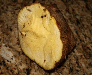 Yam is one of the main staples with a Jamaican meal. It is rumored that Jamaican yellow yam is the secret to Jamaica's track athlete Olympic success. Boiled yam is the most popular this dish is serviced.  Enjoy our boiled yam recipe. Yam Recipe, Yellow Yam, Yams Recipe, Baked Potato, Appetizer Recipes, Appetizer, Side Dishes, The Secret, Bread