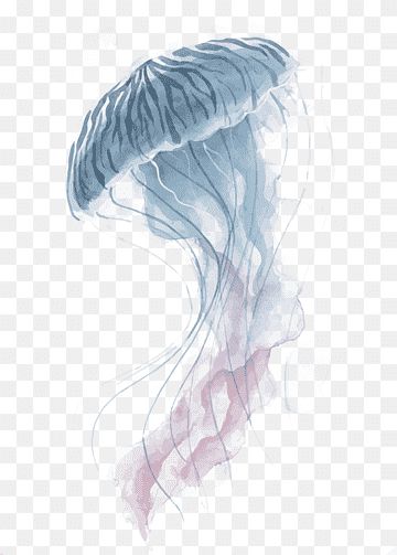 Jellyfish Watercolor Painting, Jellyfish Png, Painting Jellyfish, Png Material, Fish Png, Alfabet Font, Watercolor Jellyfish, Jellyfish Drawing, Infographic Poster