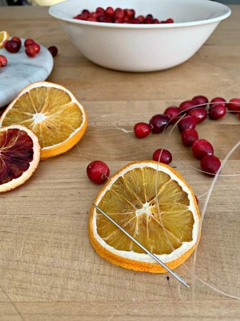 making a DIY Christmas garland with dried orange slices, cranberries and a needle and fishing line Diy Dried Fruit, Dried Fruit Garland, Orange Slice Garland, Fruit Garland, Diy Christmas Garland, Natural Christmas Decor, Diy Christmas Wreaths, Orange Slice, Dried Orange Slices