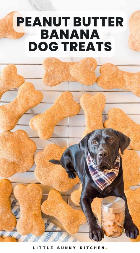 Tasty, crunchy baked peanut butter banana dog treats are a healthy, treat for dogs, and are easy to make with just a handful of common ingredients. Crunchy Peanut Butter Dog Treats, Easy Banana Dog Treats, Pb Banana Dog Treats, Easy Peanut Butter Dog Treats, Banana Peanut Butter Dog Treats Frozen, Dog Treats Made With Bananas, Banana Applesauce Dog Treats, Peanut Butter Dog Treats Homemade Easy, Banana Peanut Butter Dog Treats