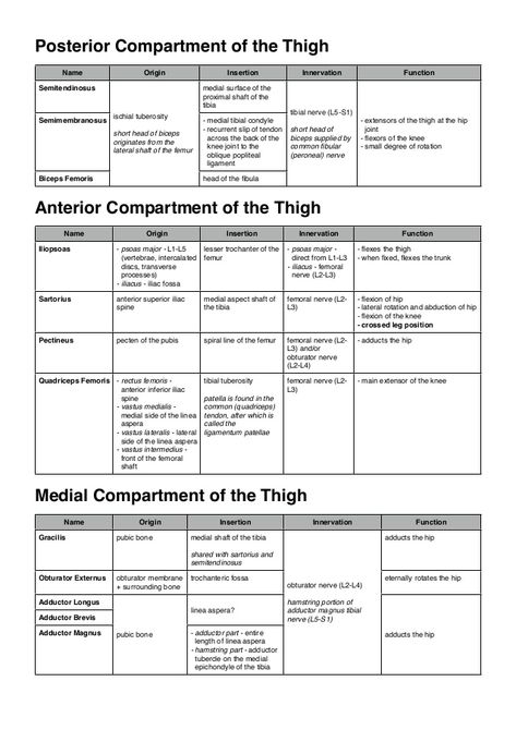 Lower Limb Muscles Anatomy, Anatomy Of Lower Limb, Lower Limb Anatomy Notes, Lower Limb Anatomy Mnemonics, Lower Extremity Anatomy, Muscles Of Lower Limb, Muscles Of Upper Limb, Lower Limb Anatomy, Lower Limb Muscles