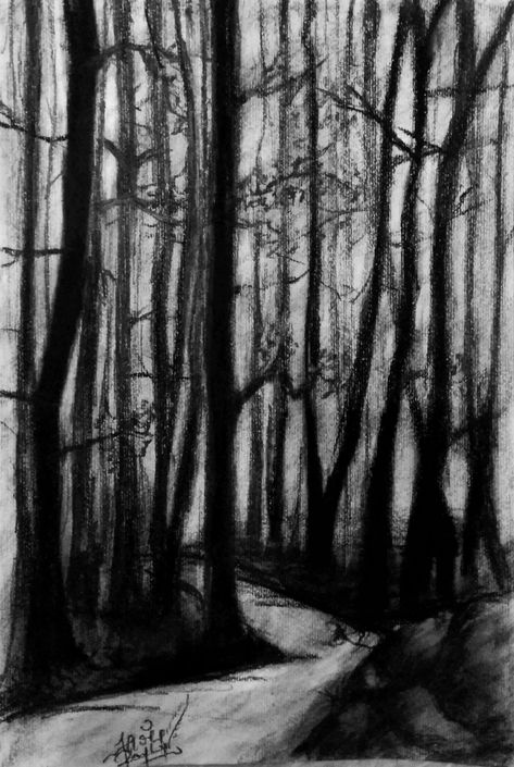 Scary Woods Drawing, Creepy Trees Drawing, Dark Woods Drawing, Scary Charcoal Art, Drawings Of Forest, Creepy Landscape Drawing, Scary Trees Drawing, Dark Forest Sketch, Dark Forest Drawing Pencil