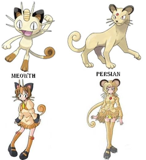 Meowth Cosplay, Meowth Costume, Meowth Pokemon, Shiny Mew, Pokemon Meowth, Pokemon Halloween Costume, Pokemon Gym, Pokemon Halloween, Pokemon Costumes