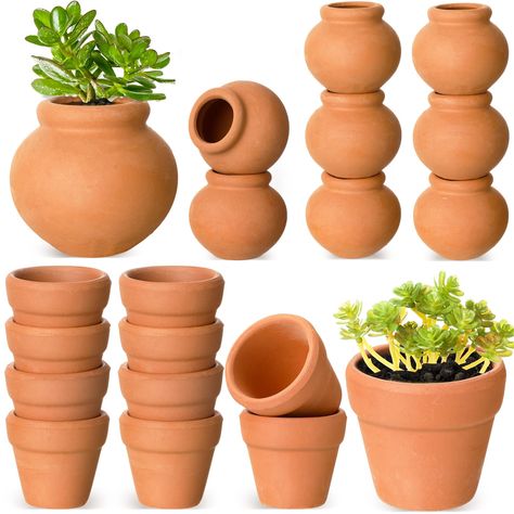 Large terracotta pots