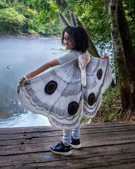 Moth Costume Diy, Mothman Costume, Wings Costume Diy, Diy Butterfly Costume, Baby Moth, Moth Costume, Halloween Moth, Butterfly Wings Costume, Costume Carnevale