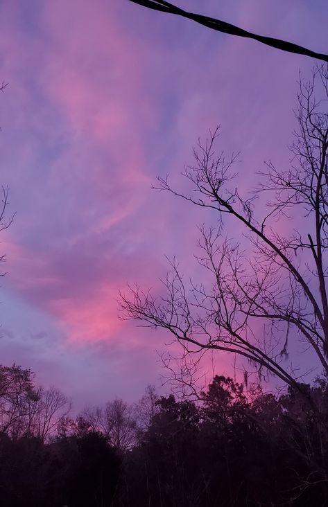 cotton candy skies 💘 Cotton Candy Skies, Cotton Candy Sky, Pretty Sky, Cotton Candy, Oil Painting, Art