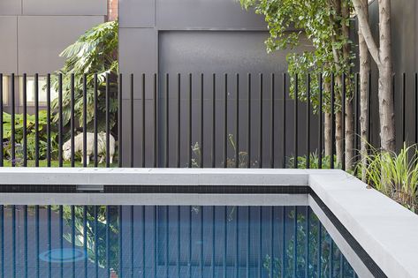 Six Sultry Pool Fence Designs | Blue Haven Pools and Spas Metal Pool Fence, Concrete Pool Coping, Pool Fencing Landscaping, Fence Around Pool, Aluminum Pool Fence, Blue Haven Pools, Pool Safety Fence, Metal Pool, Glass Pool Fencing