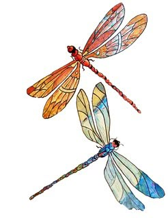 Dragonfly Illustration, Amazing 3d Tattoos, Dragonfly Artwork, Dragonfly Drawing, Fly Drawing, Dragonfly Painting, Dragonfly Tattoo Design, Dragon Flies, Dragonfly Tattoo