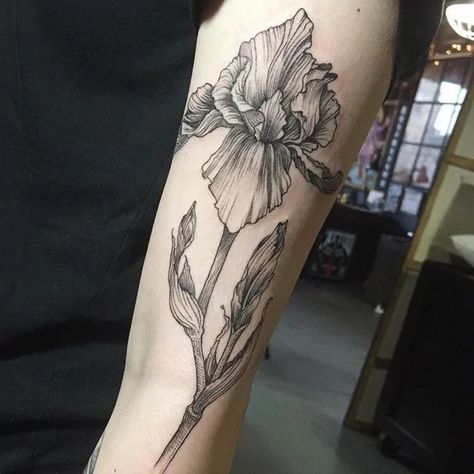 Tattoo Designs With Meaning, Iris Flower Tattoo, Designs With Meaning, Shoulder Cap Tattoo, Tattoo World, Iris Tattoo, Poppies Tattoo, Illustration Tattoo, Tattoos For Lovers