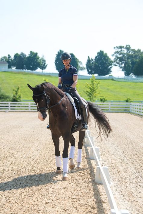 Eventing Dressage, Equestrian Training, Dressage Tests, Dressage Competition, Countryside Living, Dressage Training, Riding Tips, Reining Horses, Training Exercises