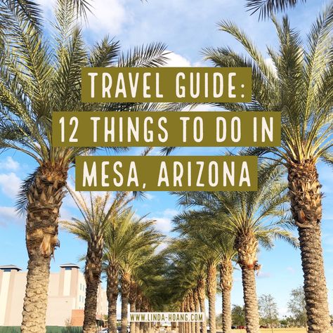 Phoenix Travel, Arizona Travel Guide, Things To Do In Arizona, Arizona Living, Arizona Adventure, Arizona Trip, Arizona Vacation, Visit Arizona, Arizona Road Trip