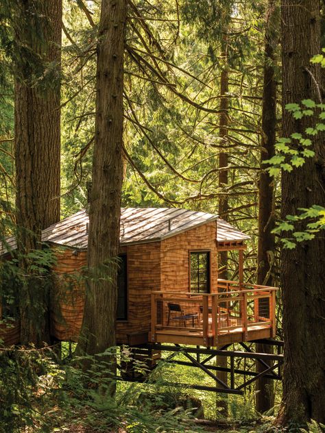 The Best Treehouse Vacation Rentals in Washington State | Seattle Met Treehouse Vacations, Treehouse Point, Fall City, Pavilion Architecture, Orcas Island, Whidbey Island, Craft Brewery, Puget Sound, Douglas Fir