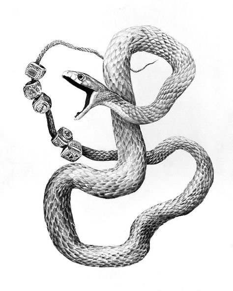 Sam Mancino on Instagram: “Black mamba & rings , drawing commission for Chandler .  . . #tattooillustration #blackmamba #snakeillustration #pencildrawing…” Mamba Snake Tattoo, Snake Charmer Drawing, Black Mamba Snake Tattoo, Black Mamba Tattoo, Black Mamba Drawing, Ball Python Tattoo Black And White, Black And Gray Snake Tattoo, Black Mamba Snake, Mamba Snake