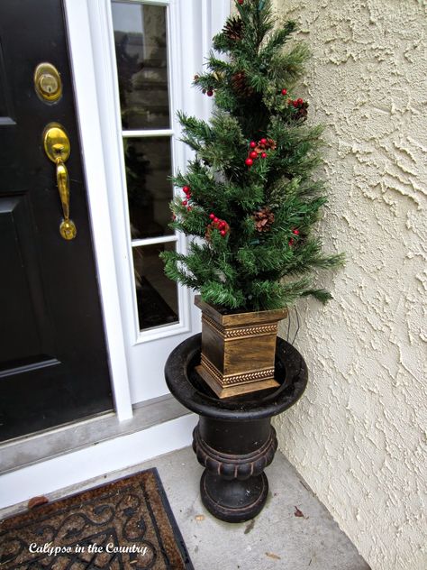 The Little Tree Dilemma Christmas Trees On Front Porch Ideas, Small Christmas Trees On Front Porch, Front Porch Christmas Trees In Pots, Front Door Christmas Trees In Pots, Porch Trees Christmas, Christmas Tree In Urn, Porch Urns, 4ft Christmas Tree, Porch Christmas Tree