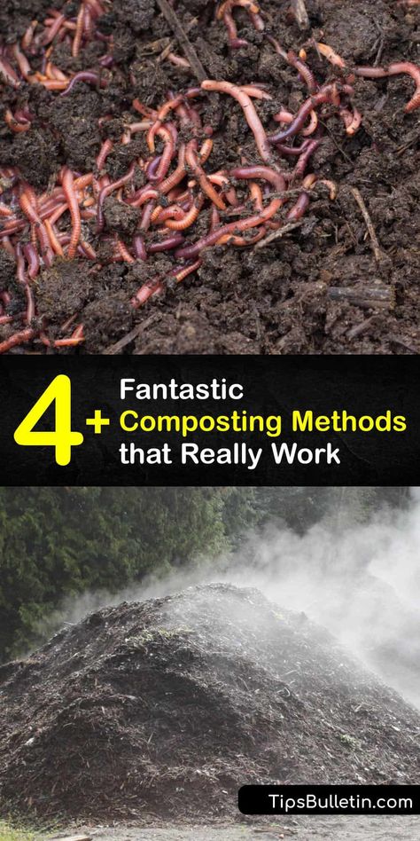 Large Compost Pile, Anaerobic Composting, Composting Methods, Composters, Frugal Gardening, Covered Backyard, Garden Prepping, Compost Tumbler, Compost Pile