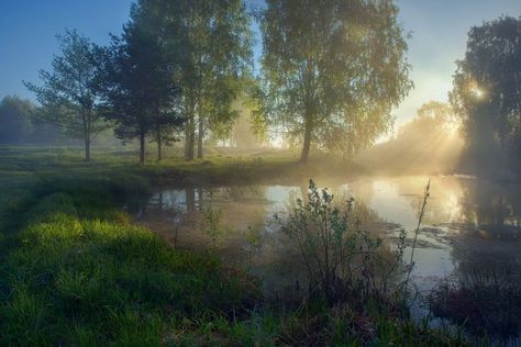 Fantasy Forest, Pretty Landscapes, Russia City, Gods Creation, Nature Aesthetic, Pretty Places, Nature Pictures, Pretty Pictures, Happy Places