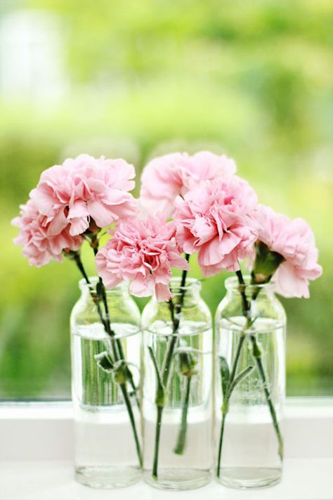 Why Carnations Might Be the Best Wedding Flower Ever http://www.womangettingmarried.com/wedding-flowers-carnations/ Carnation Wedding Flowers, Carnation Wedding, Pink Carnations, Carnation Flower, בר מצווה, Wedding Flower Arrangements, Baby's Breath, Glass Vases, Love Flowers