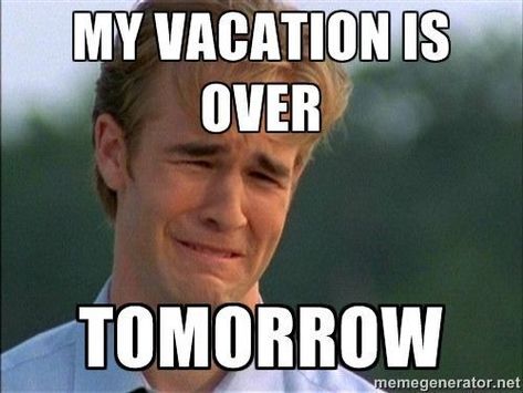 55 funny travel memes that are so true it hurts. The adventure and hilarious side of vacations, then the sadness of going back to work... #funnymemes #travel #memes Last Day Of Vacation Humor, Back To Work Humour, Back To Work After Vacation, Vacation Quotes Funny, Memes Work, Vacation Meme, Work Vacation, Vacation Humor, Funny Travel