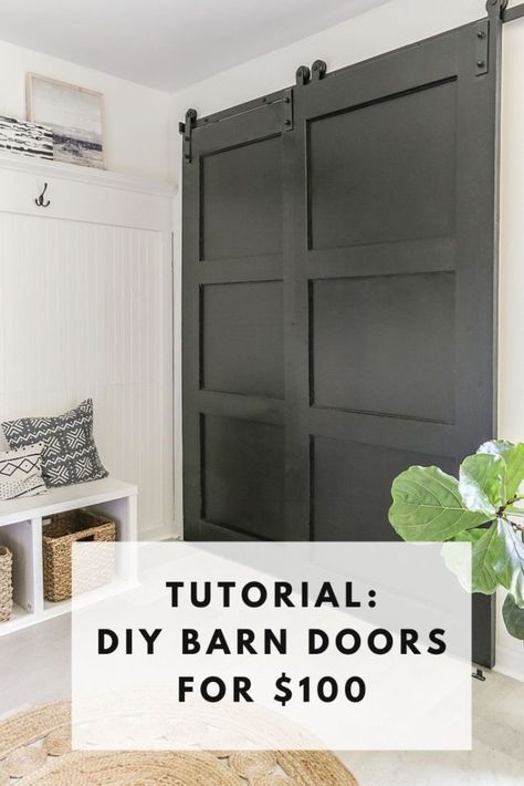 Pantry Door Diy, Bifold Pantry, Pantry Barn Door, Diy Barn Door Cheap, Barn Door Diy, Diy Kast, Double Pantry, Easy Closet, Sliding Barn Door Closet