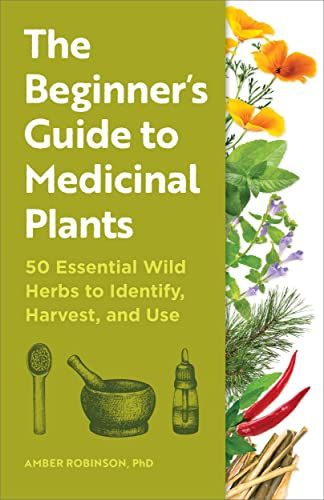 The Beginner's Guide to Medicinal Plants: 50 Essential Wild Herbs to Identify, Harvest, and Use - Kindle edition by Robinson PhD, Amber. Crafts, Hobbies & Home Kindle eBooks @ Amazon.com. Medicinal Wild Plants, Diy Herbal Remedies, Wild Herbs, Herbal Remedies Recipes, Identify Plant, Healing Remedies, Herbal Recipes, Healing Plants, Natural Antibiotics