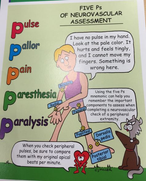 Neurovascular assessment Neurovascular Assessment Nursing, Neurovascular Assessment, Musculoskeletal Nursing, Pathophysiology Nursing, Nursing School Organization, Nursing Assessment, Health Assessment, Nursing Study Guide, Emergency Nurse