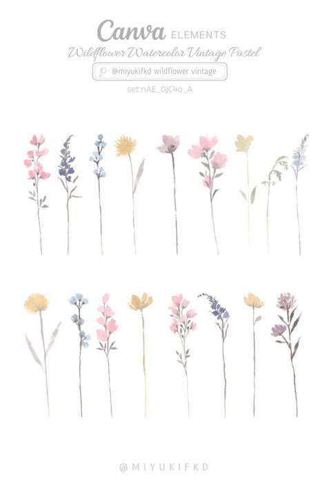 Elements On Canva, Font Canva Lettering, Botanical Decoration, Ornament Watercolor, Wildflower Watercolor, Keyword Elements Canva, Watercolor Vintage, Canvas Learning, Floral Border Design