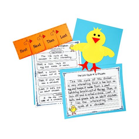 Science Experiments For Kindergarten, Experiments For Kindergarten, Chicken Life Cycle, 2nd Grade Science, Science Literacy, Hatching Chicks, Chicken Life, Shape Books, Writing Crafts