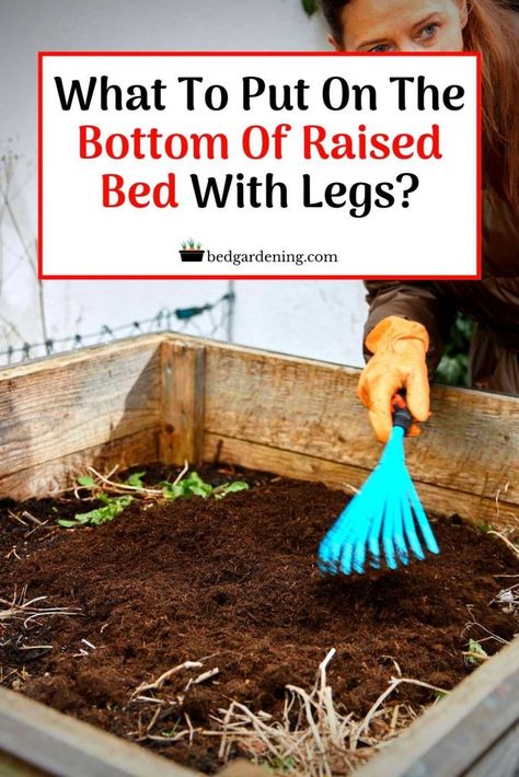 Filling A Raised Garden Bed Planter Boxes, Elevated Planter Box Ideas, Elevated Planter Boxes Diy, How To Fill A Raised Bed, Diy Elevated Garden Bed, Building A Raised Bed, Raised Wooden Planters, Build A Raised Garden Bed, Above Ground Garden