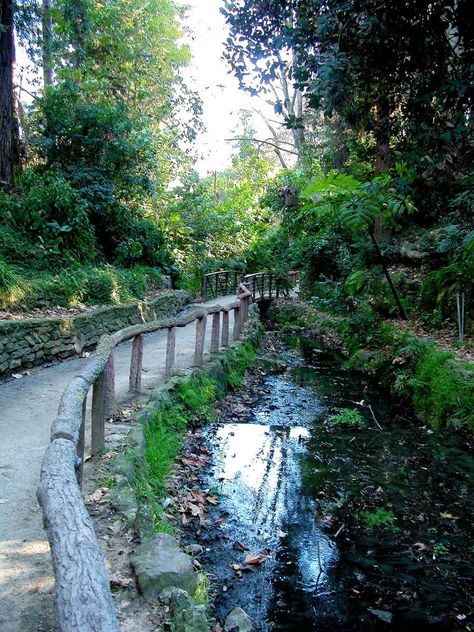 10 Best Griffith Park Hikes (For All Levels!) - Bobo and ChiChi Griffith Park Hike, Los Angeles Zoo, Vision Bored, Los Angeles Skyline, Griffith Observatory, Griffith Park, Canyon Road, Hollywood Sign, Ventura County