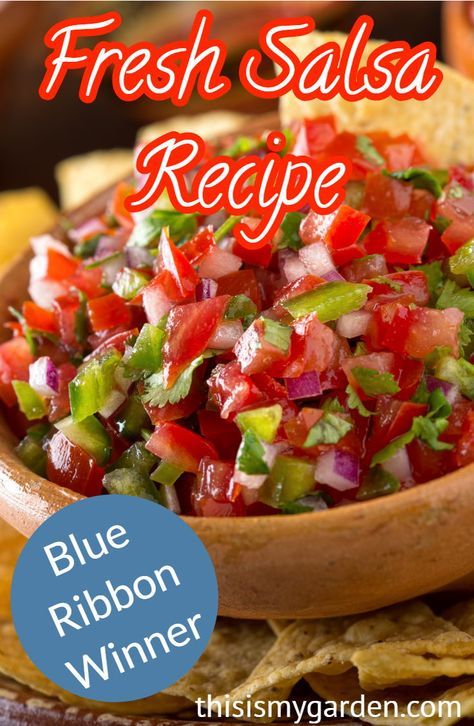 Award winning FRESH SALSA recipe! The story behind this blue ribbon winner! #salsa #tomato #onion #pepper #cilantro #blueribbon #farmtotable #gardenfresh #thisismygarden Fresh Salsa Recipe Homemade, Best Salsa Recipe, Mexican Salsa Recipes, Easy Homemade Salsa, Tomato Salsa Recipe, Fresh Salsa Recipe, Easy Salsa Recipe, Authentic Mexican Recipes, Salsa Guacamole