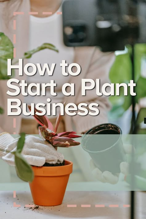 How To Start An Online Plant Shop, Plant Shop Design Ideas, Small Business Plant Shop, How To Sell Plants, Horticulture Business Ideas, Plant Bussines Idea, Plant Trailer Ideas, Selling Plants Online, Succulent Business Ideas