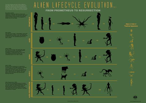 Evolution of the Alien Infographic: From Prometheus To Alien: Resurrection - UPDATE [Infographic] ~ The Geek Twins Alien Resurrection, Aliens Colonial Marines, Alien Isolation, Alien 1979, Cyborgs Art, Alien Queen, Facebook Art, Aliens Movie, Young Avengers