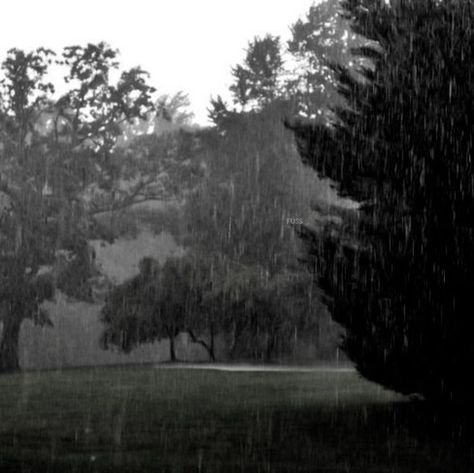 Rain And Thunderstorms, Smell Of Rain, Rainy Day Aesthetic, I Love Rain, Love Rain, Water Element, Sound Of Rain, Rain Photography, Dark Photography