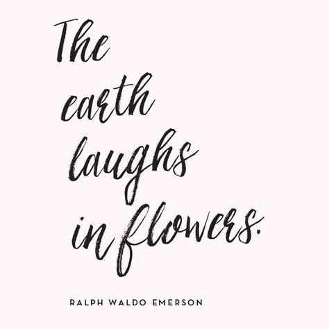 Thoughts on a rainy spring night. 🌷🌸🌹🌺🌼💐🌾🌿🌻 #quotes #everydaytypography Tree Of Life Quotes, Flower Quotes Love, Citation Nature, Chalkboard Art Quotes, The Earth Laughs In Flowers, Earth Laughs In Flowers, Rainy Spring, Tree Quotes, Spring Night