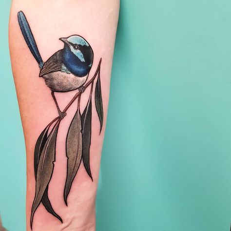 Blue Wren Tattoo, Fairy Wrens, Blue Wren, Fairy Wren, Native Tattoos, Gum Tree, Eucalyptus Globulus, Australian Native, Evergreen Trees