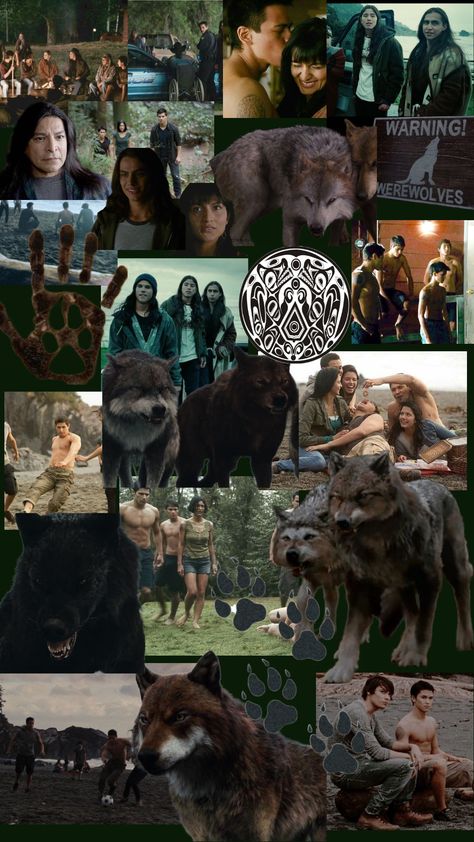 Twilight Wolf Pack Wallpaper, Twilight Wolf Pack Aesthetic, Wolf Pack Wallpaper, Twilight Wolves, Twilight Wolf Pack, Jacob Black Twilight, Twilight Dr, Twilight Jacob, Paul Lahote