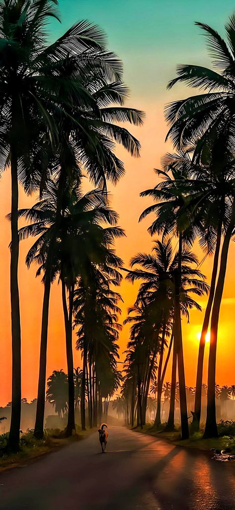 Sun Set Wallpaper Iphone Wallpapers, Sun Set Aesthetic Wallpaper, Beautiful Sunrise Wallpaper, Sun Rise Wallpaper, Aesthetic Sunrise Wallpaper, Aesthetic Sun Set, Sun Set Aesthetic, Sun Set Wallpaper, Sun Set Photography