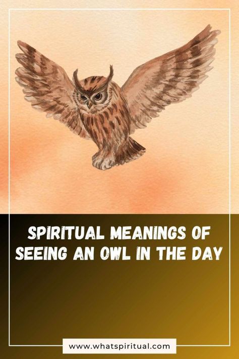 Reveal the 10 spiritual meanings of seeing an owl in the day. Discover the significance and messages behind these rare daytime sightings. #Owls #SpiritualSightings #DaytimeMystery Seeing An Owl Meaning, Owl Meaning Spiritual, Owl Spiritual Meaning, Shadow Meaning, Cat Symbolism, Owl Quotes, Spiritual Psychology, Black Owl, Barred Owl