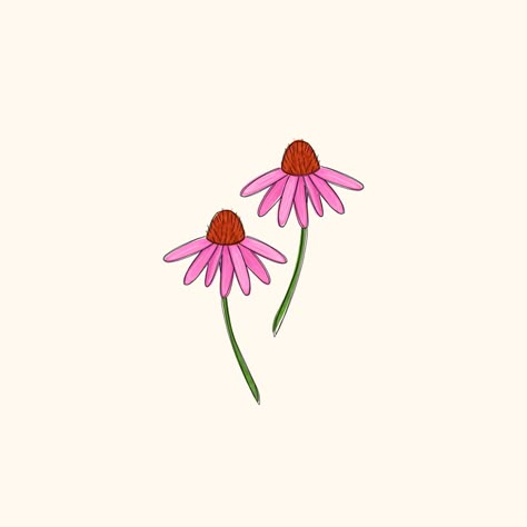 Coneflower Drawing Simple, Echinacea Drawing, Echinacea Tattoo, Cone Flower Tattoo, Purple Coneflower Tattoo, Coneflower Tattoo, Echinacea Line Drawing, Coneflower Illustration, Echinacea Plant Drawing