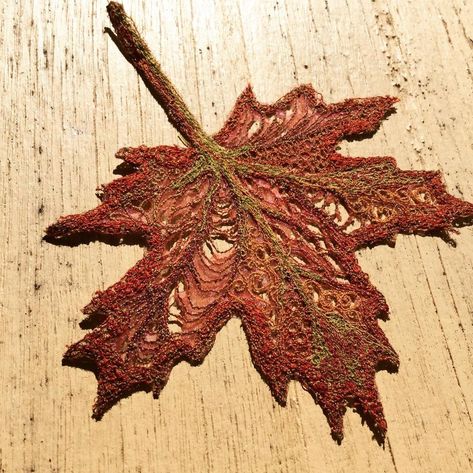 Dissolvable Fabric Embroidery, Natural Forms Textiles, Autumn Textiles, Sewing Leaves, Autumn Leaves Embroidery, Natural Form Artists, Maple Leaf Embroidery, Autumn Sewing, Fall Pallets