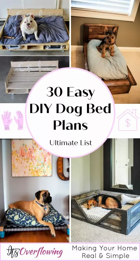 30 Easy DIY Dog Bed Plans To Make Your Own Dog Bed - Dog Bed Ideas Diy Pvc Dog Bed, Dog Bed Plans, Dog Bedroom Ideas, Diy Raised Dog Bed, Diy Dog Door, Diy Elevated Dog Bed, Pvc Dog Bed, Make A Dog Bed, Easy Dog Bed