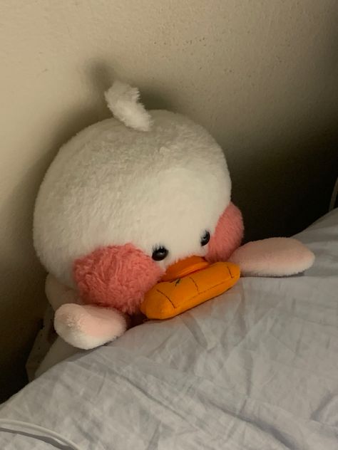 Korean Duck Plushie, Korean Duck, Japanese Plushies, Duck Plushie, Duck Stuffed Animal, Ducky Duck, Duck Cute, Cute Plushies, Plushies Cute