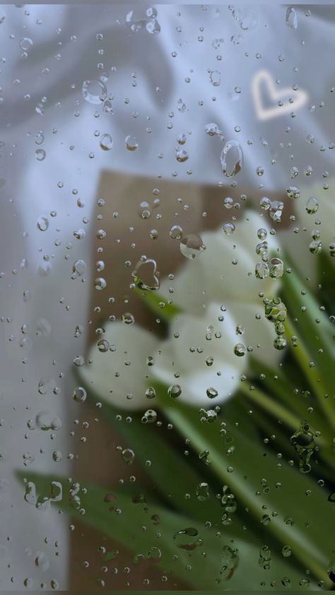 Flower Behind Glass Wallpaper, Green Flower Wallpaper Iphone, Snow Flower Aesthetic, Wallpaper For Tablet Aesthetic, Flowers Behind Glass Wallpaper, Wet Flowers Wallpaper, Foggy Flowers, Clear Wallpaper, Green Nature Wallpaper