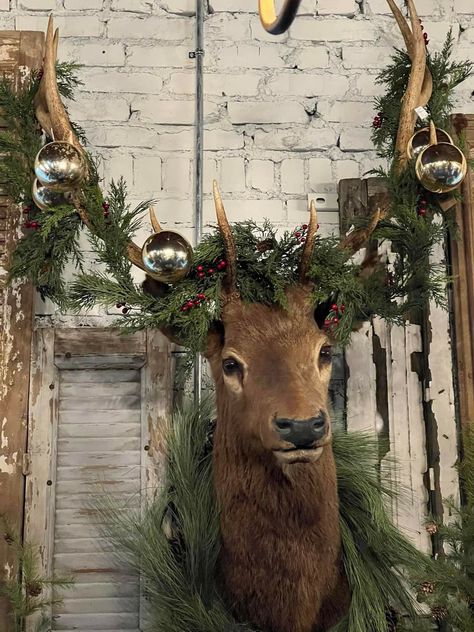 Buck Head Decor, Deer Head With Wreath, Deer Head Decor Christmas, Classy Deer Head Decor, Elk Head Decor, Deer Mount Decor, Buck And Doe Taxidermy, Deer Head Decor, Reindeer Head