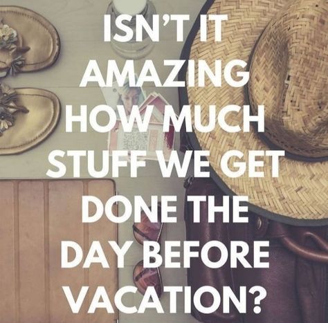 Vacation Mode Quotes Funny, Funny Travel Quotes, Funny Travel, Travel Humor, Vacation Mode, Im Trying, Quotes Funny, Travel Quotes, Picture Quotes