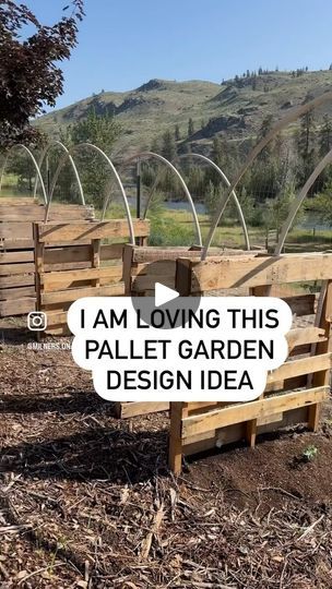 Palet Garden, Pallet Vegetable Garden, Pallet Trellis, Pallet Garden Ideas, Pallet Garden Walls, Houseplant Tips, Palette Garden, Allotment Ideas, Serenity Garden