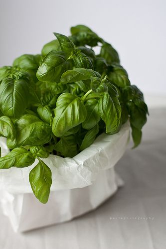 fresh basil Fresh Fruit Recipes, Spices And Herbs, Fruit And Veg, Fruit Recipes, Beautiful Food, Fresh Herbs, Food Styling, Food Photo, Fruits And Vegetables