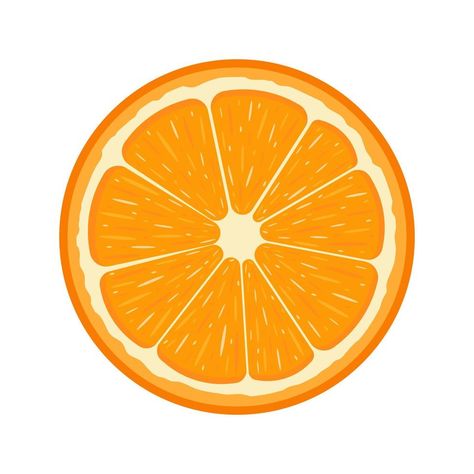 Fresh half orange fruit isolated on white background. Tangerine. Organic fruit. Cartoon style. Vector illustration for any design Orange Illustration Graphics, Orange Fruit Cartoon, Orange Clipart, Orange Cartoon, Orange Vector, Fruit Icons, Cartoon Fruit, Fruit Cartoon, Orange Cut